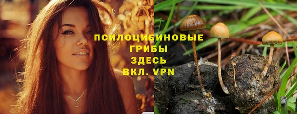 не бодяженный Абаза