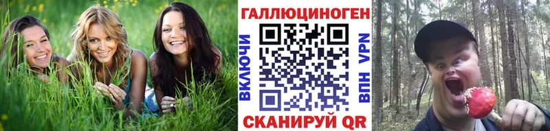 сайты даркнета официальный сайт  Иркутск  Псилоцибиновые грибы прущие грибы 